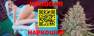 прущий лед Новозыбков