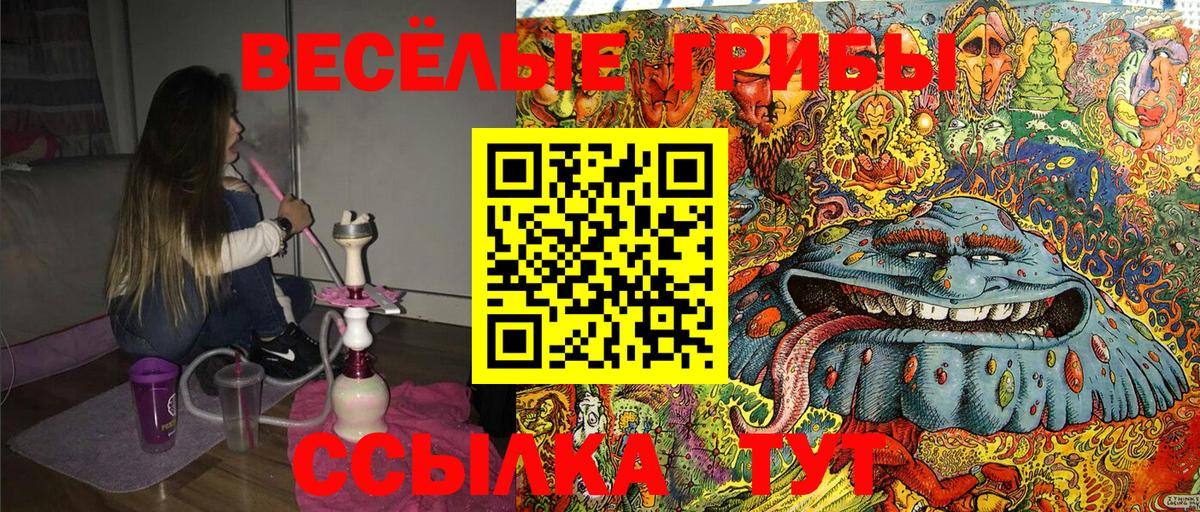 Галлюциногенные грибы GOLDEN TEACHER Советский