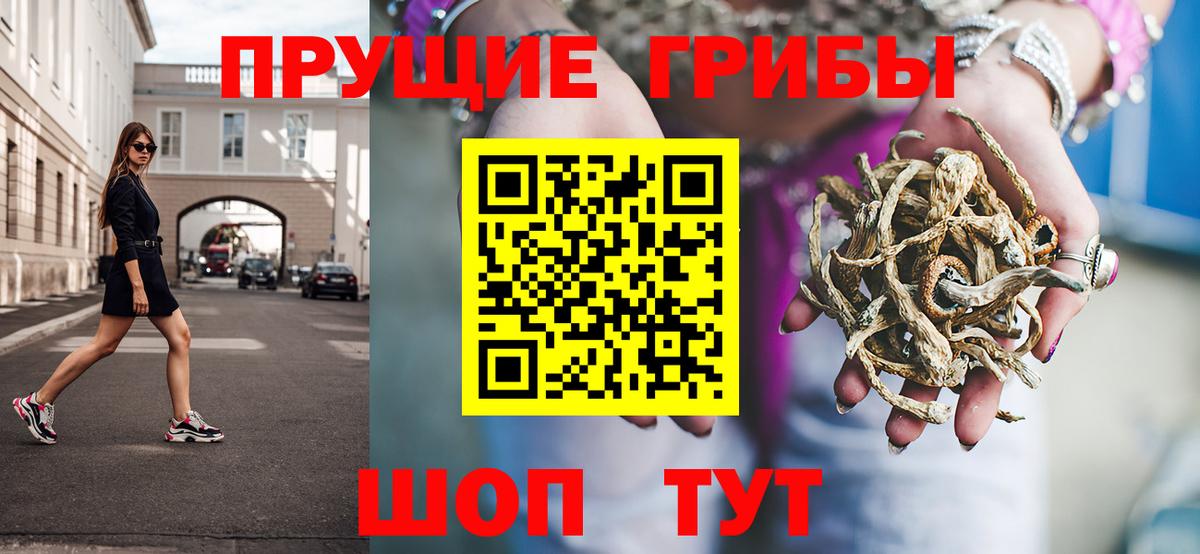 Советский  Галлюциногенные грибы Psilocybe  Псилоцибиновые грибы мицелий  Вход с VPN 